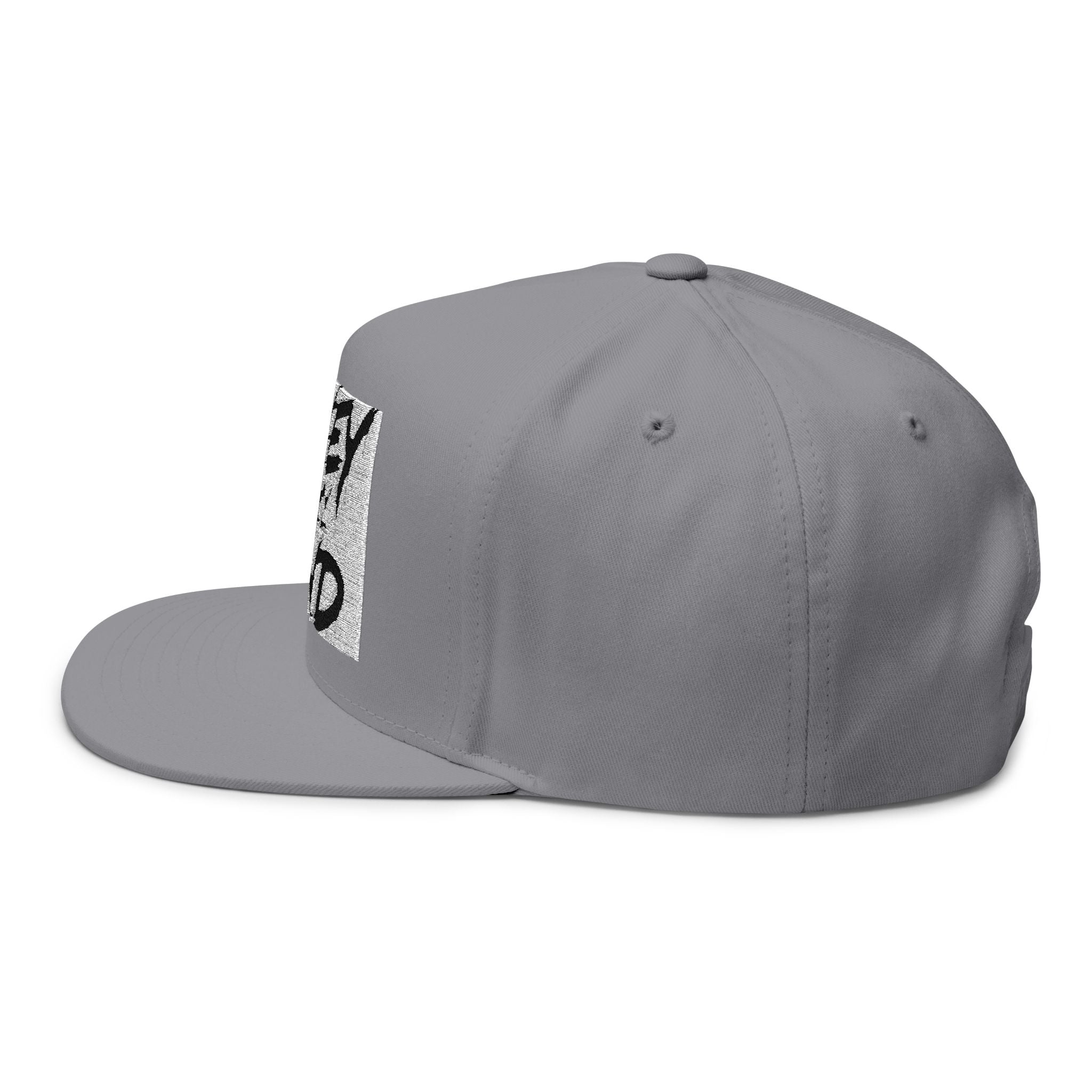 Money On My Mind Flat Bill Cap — Embroidered Snapback Hat