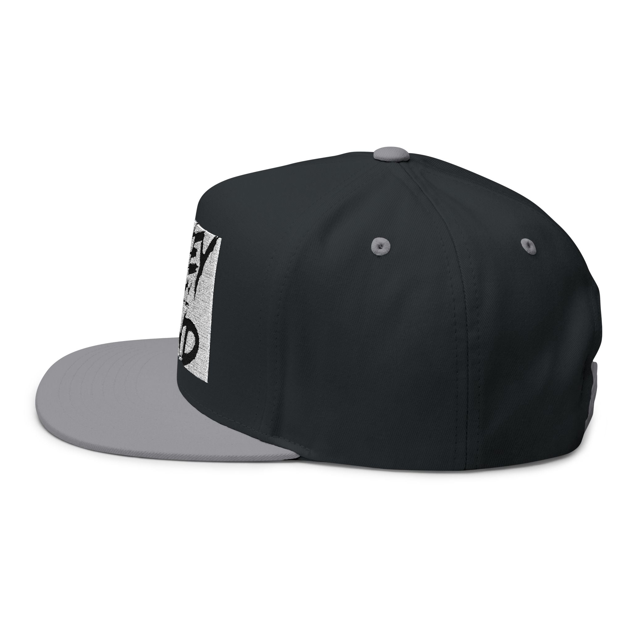 Money On My Mind Flat Bill Cap — Embroidered Snapback Hat