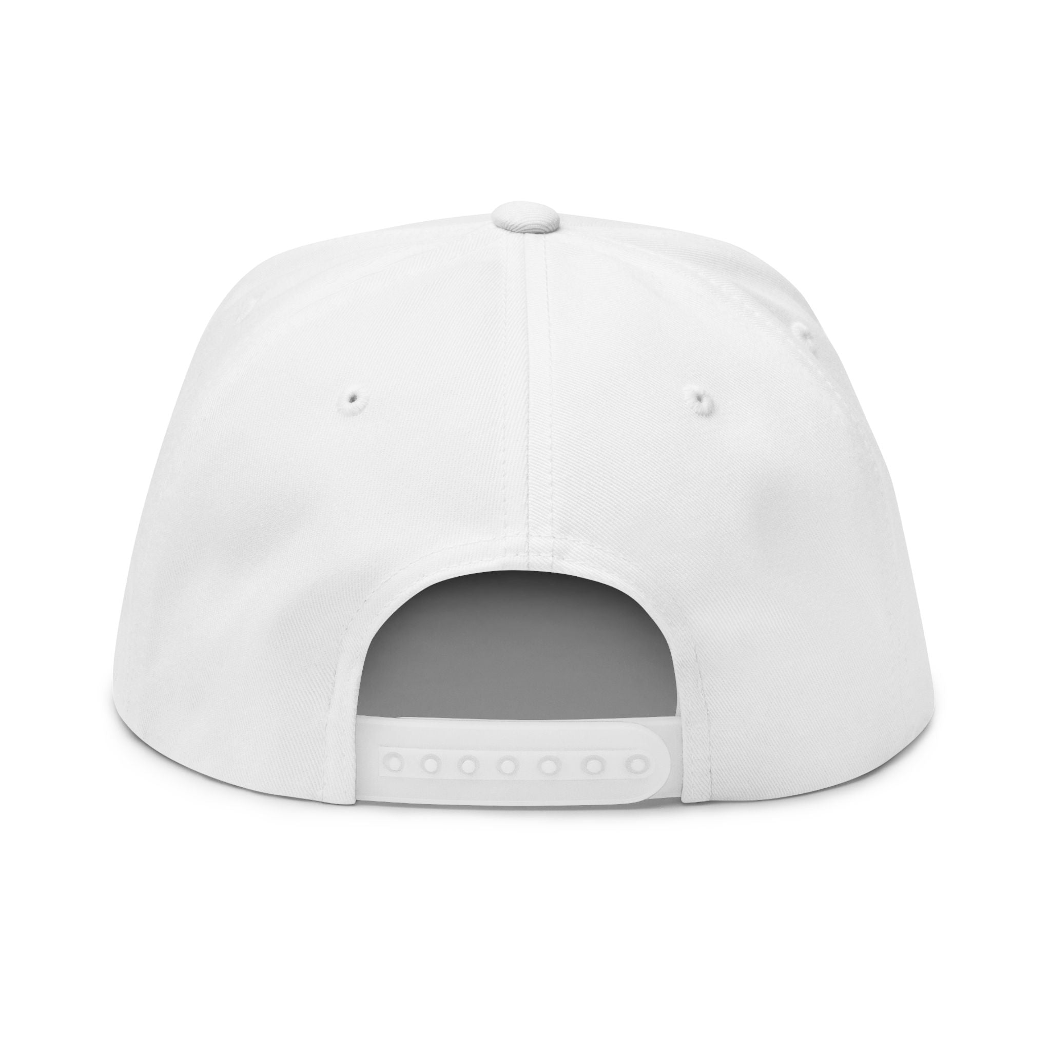Money On My Mind Flat Bill Cap — Embroidered Snapback Hat