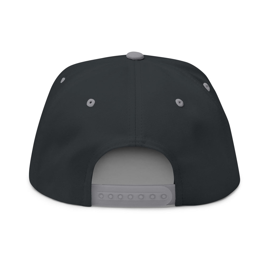 Money On My Mind Flat Bill Cap — Embroidered Snapback Hat