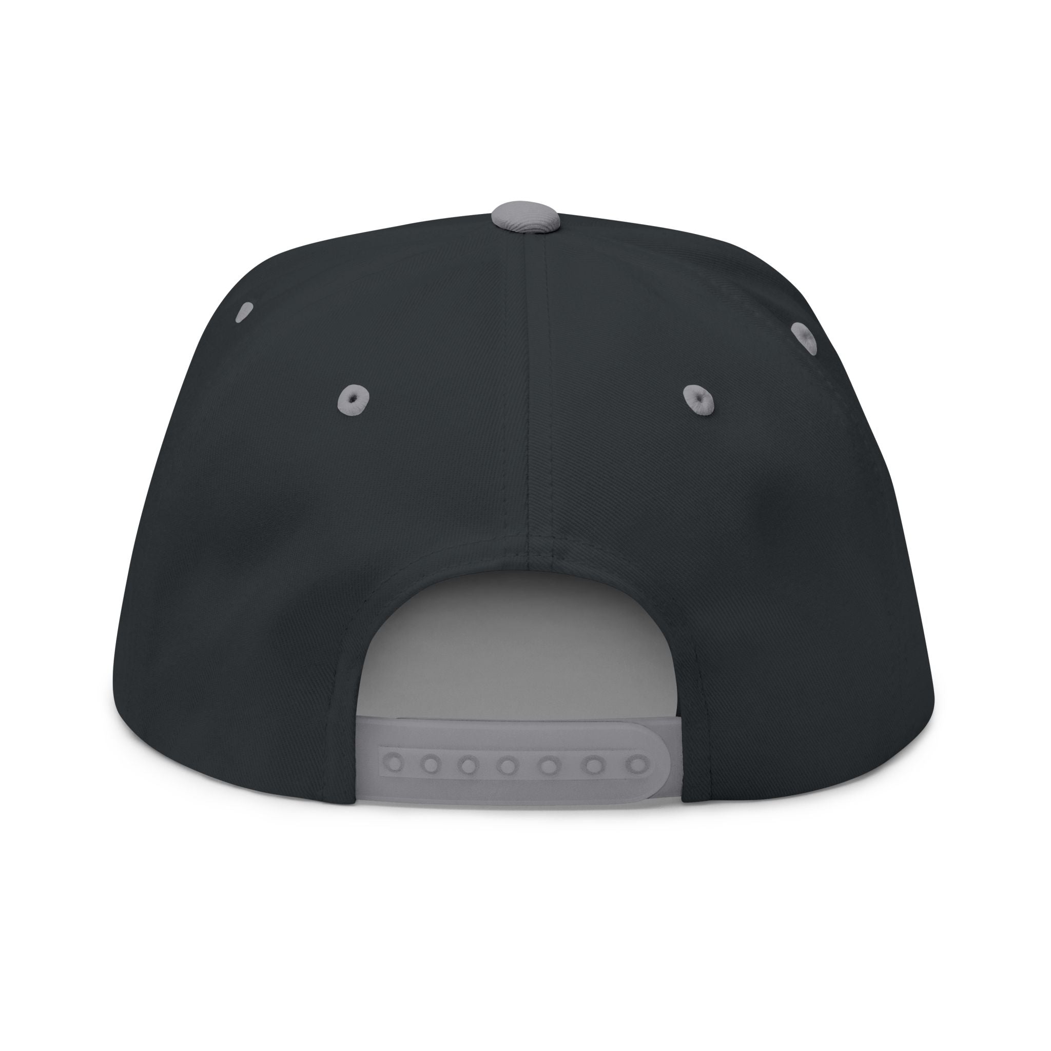Money On My Mind Flat Bill Cap — Embroidered Snapback Hat